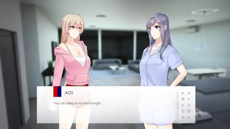 Overview screenshot